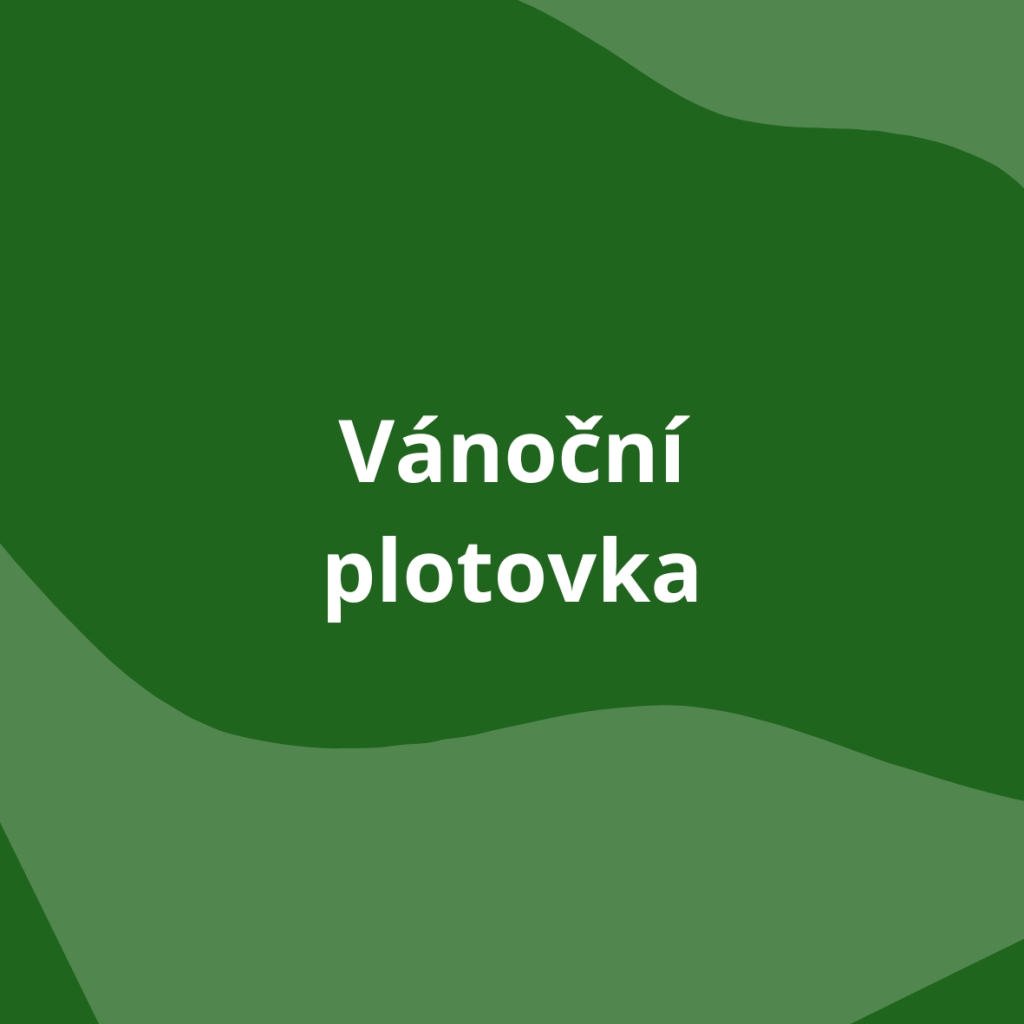 Vánoční plotovka